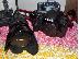 PoulaTo: Canon EOS 7D Mark II WhatsApp: 447452264959